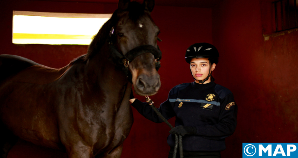 le cheval au service de la Gendarmerie Royale 33532010