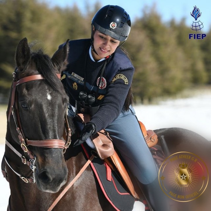 le cheval au service de la Gendarmerie Royale - Page 2 34471710
