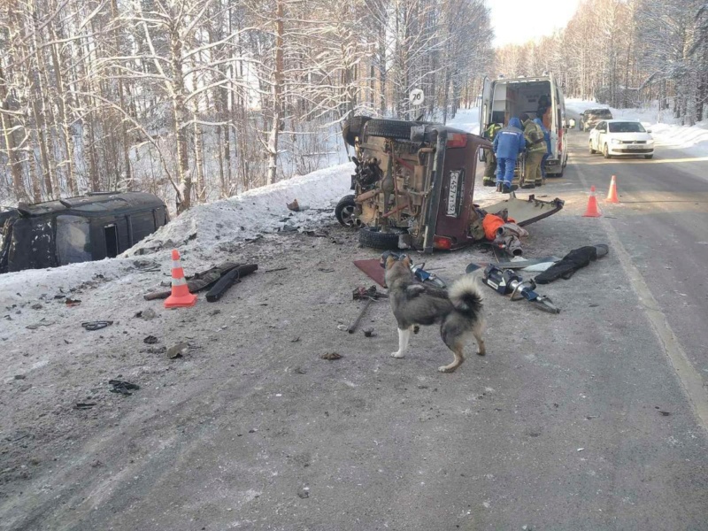 Жуткая авария в Семёновском районе — два человека погибли из-за вылетевшего на встречку водителя. Phot1352