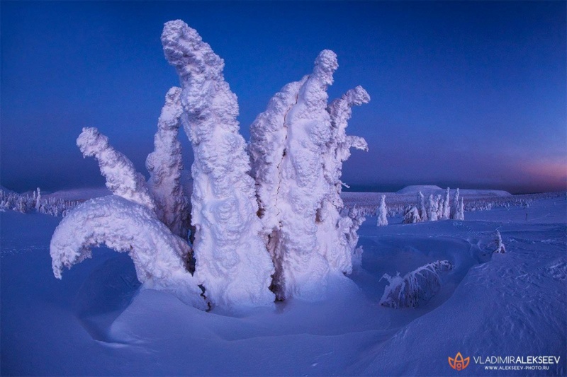 Северный мир на фотографиях Владимира Алексеева Phot1396