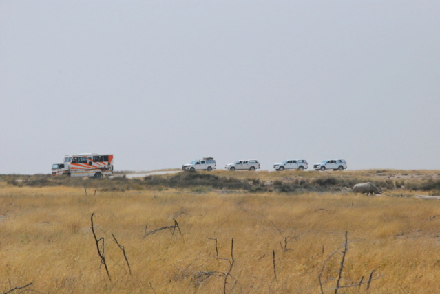 Carnet - Roadtrip en Namibie - premiers pas en Afrique australe en famille Hal1510