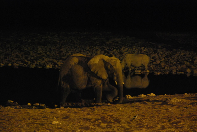 Carnet - Roadtrip en Namibie - premiers pas en Afrique australe en famille Okj810