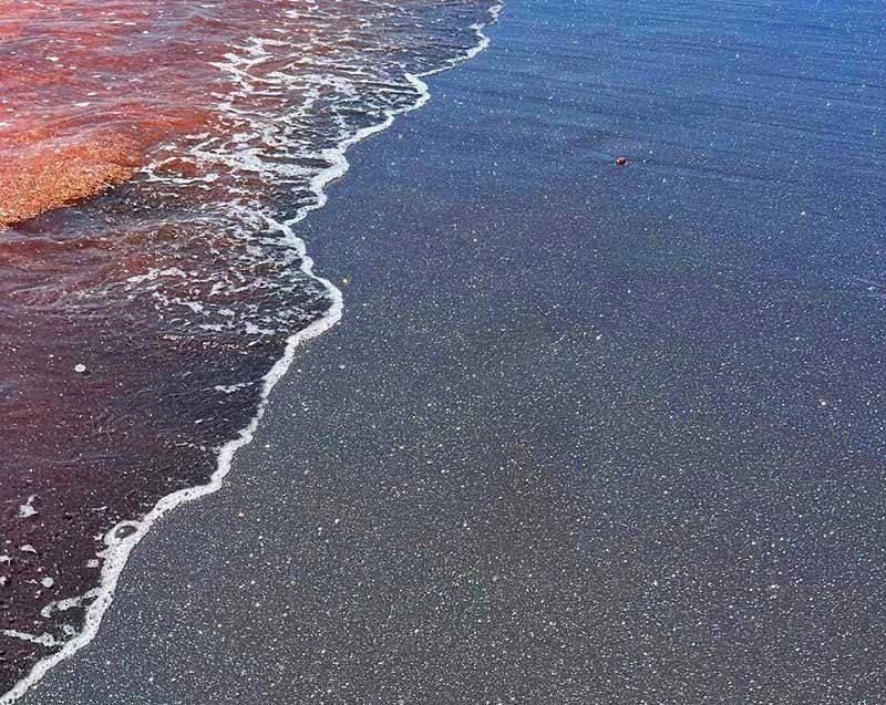Пляж - Серебряный пляж острова Ормуз Photo205