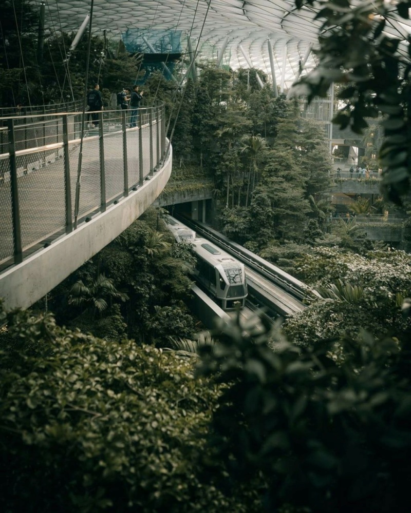 Симбиоз природы и современной архитектуры в Сингапуре Photo316