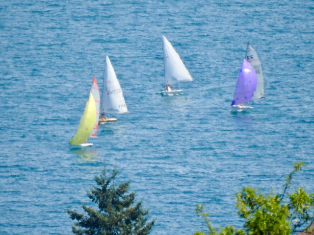 Magnifique participation de la voile légère et loisir à la régate des rêveurs Dscn3211