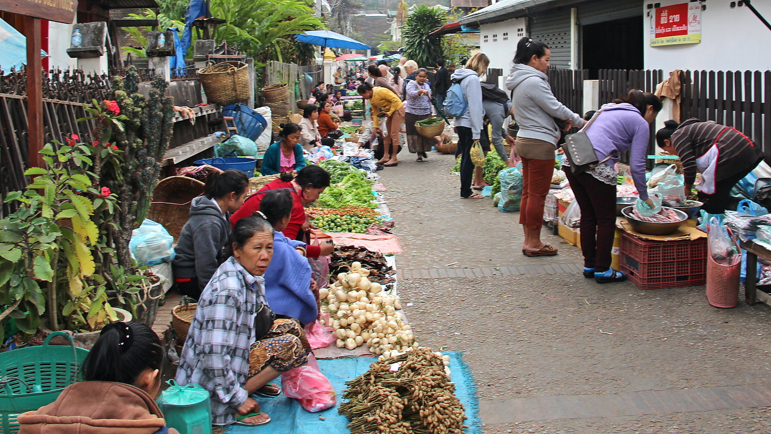 Concours de photos de voyage: sujet mars 2024: FRUITS ET LEGUMES Luang-10