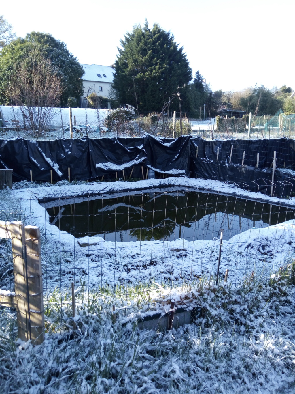 Un bassin l'hiver (photo d'il y a environ deux ans) Img_2019