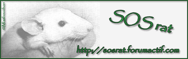 SOS rat Sosrat11