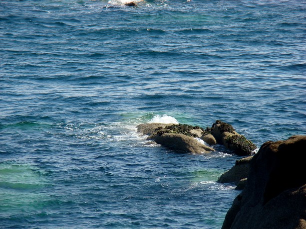 bretagne en juin côte de granit rose Dsc07210