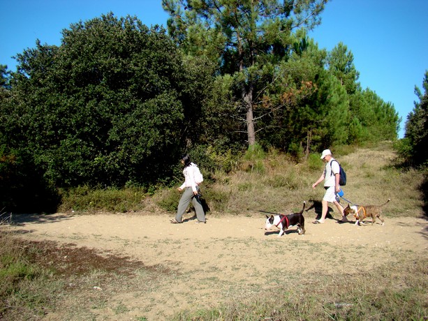 randonnée sur la plage Dsc08526