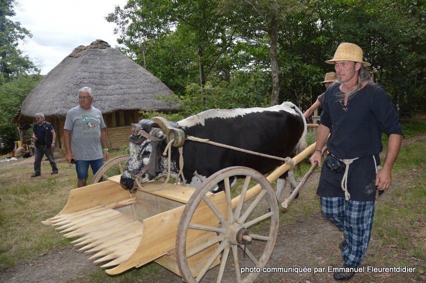 les débuts du machinisme agricole Vallus10