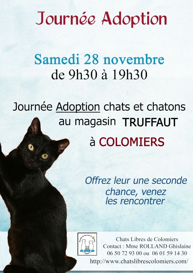 Journée adoption samedi  28 nov. 2009, Truffaut Colomiers Truffa10
