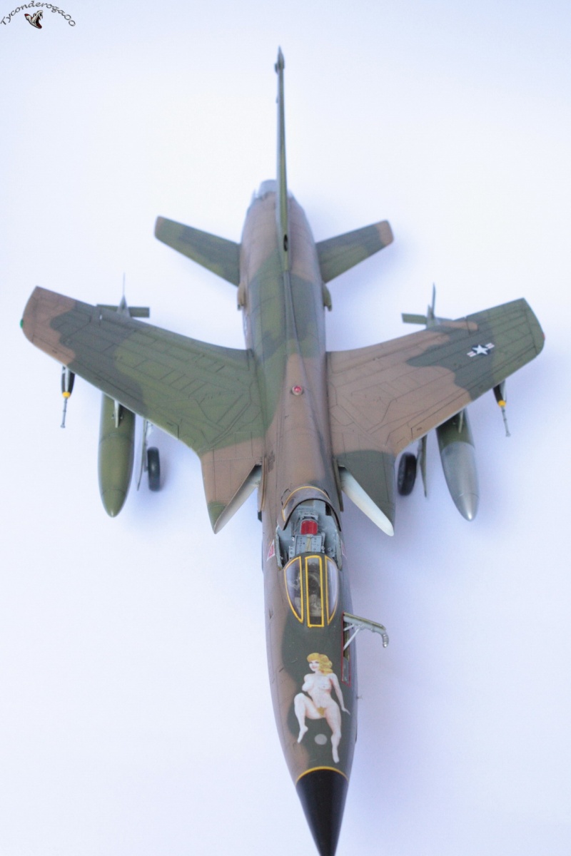 [HOBBYBOSS] Republic F-105D Thunderchief – Takhli RTAFB – Avril 1967  1/48 Img_1318