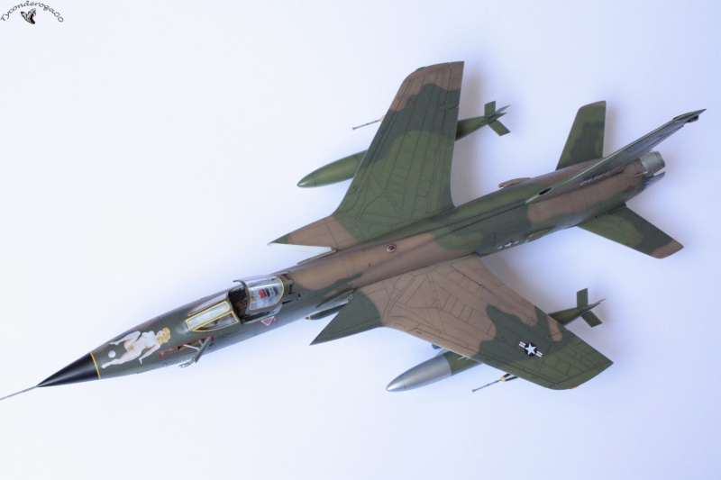 [HOBBYBOSS] Republic F-105D Thunderchief – Takhli RTAFB – Avril 1967  1/48 Img_1321