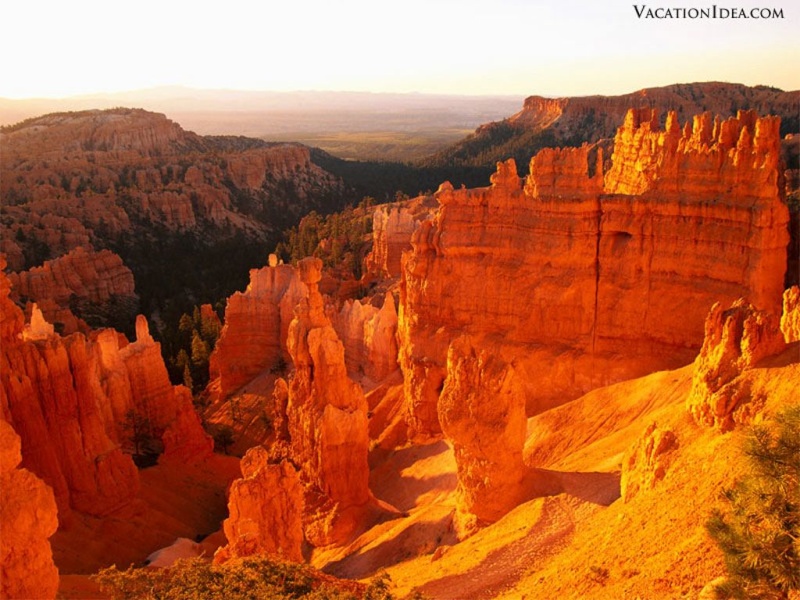 Merveilles de beauté. Canyon10