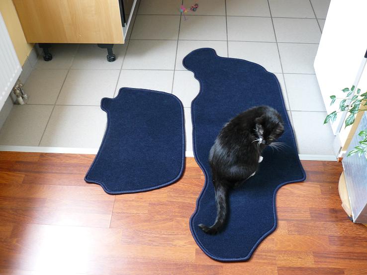 Tapis de coffre Tapis110