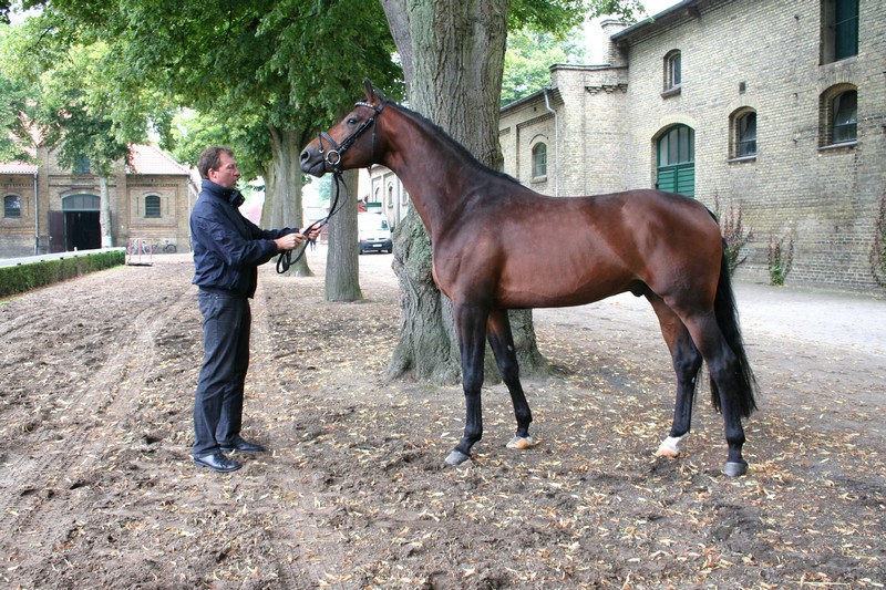 Warendorf, le retour... Haras_43