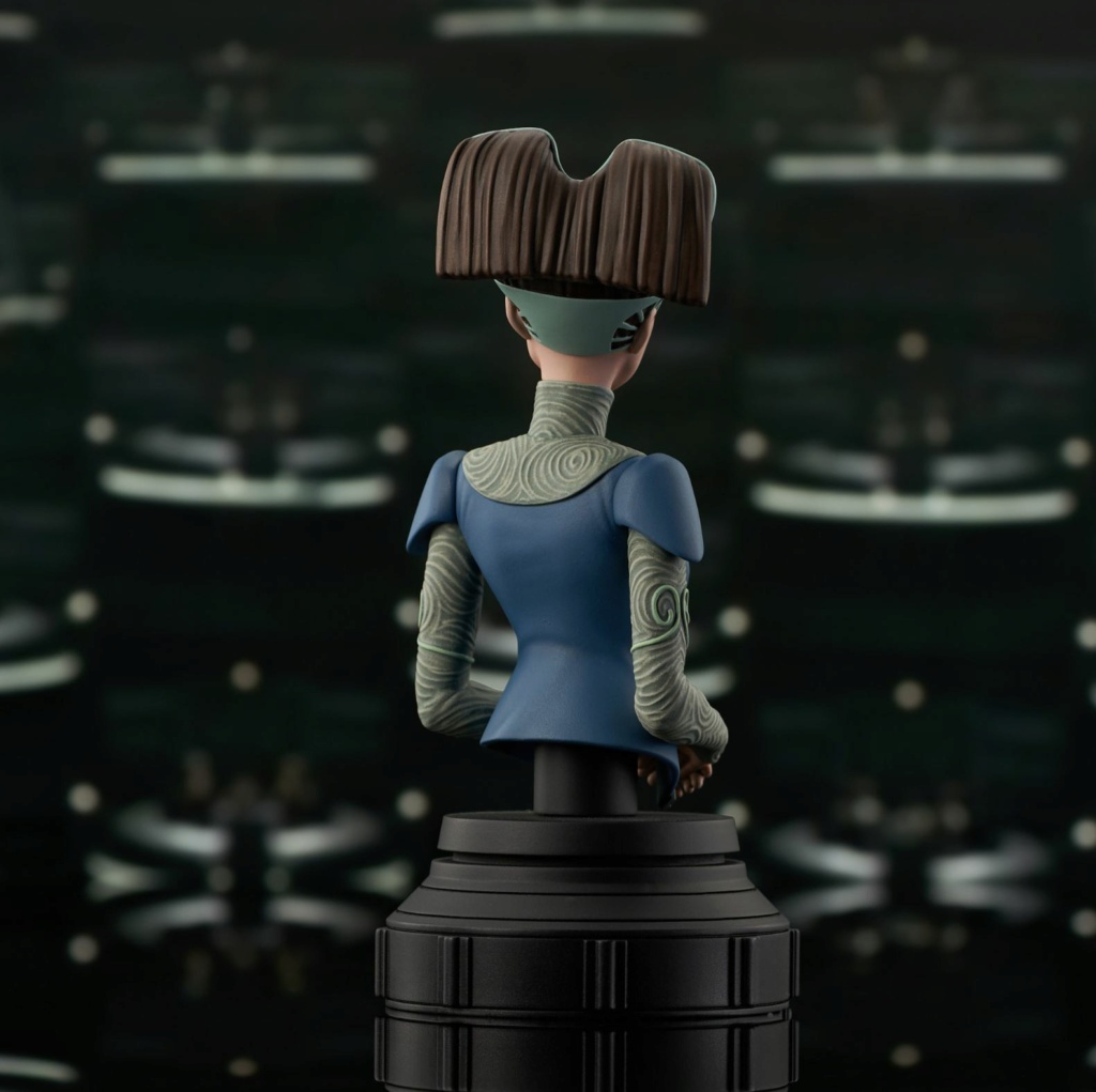 Star Wars: The Clone Wars - Padme Amidala Animated - 1/7 Scale Mini-Bust Amidal13