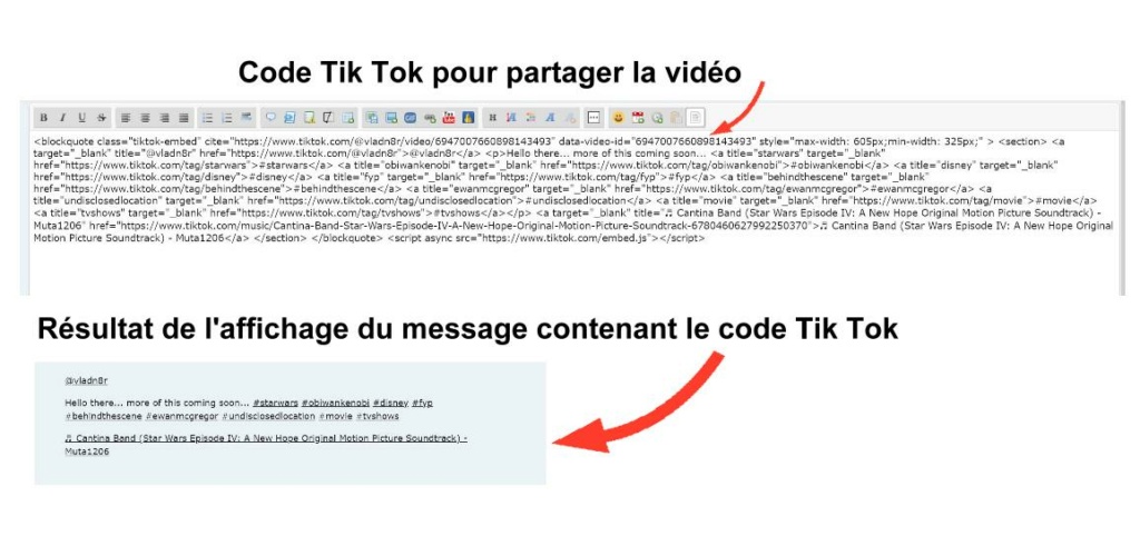 template - Partager (et afficher) une vidéo Tik Tok  Captur58