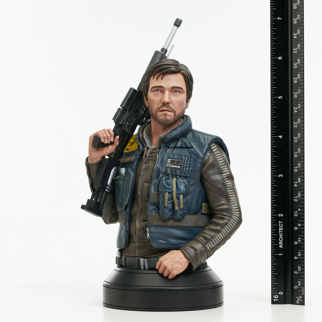 Rogue One: A Star Wars Story - Cassian Andor Mini Bust - Gentle Giant Cassia25