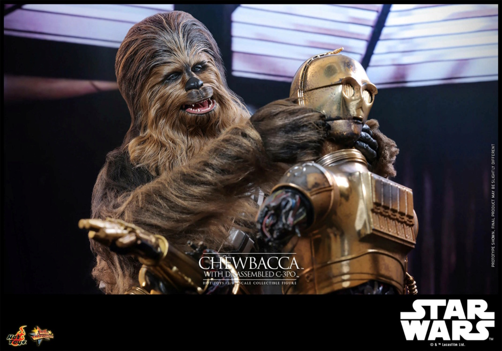 Chewbacca with C-3PO 1/6th scale Collectible Figure - Hot Toys Chewba47