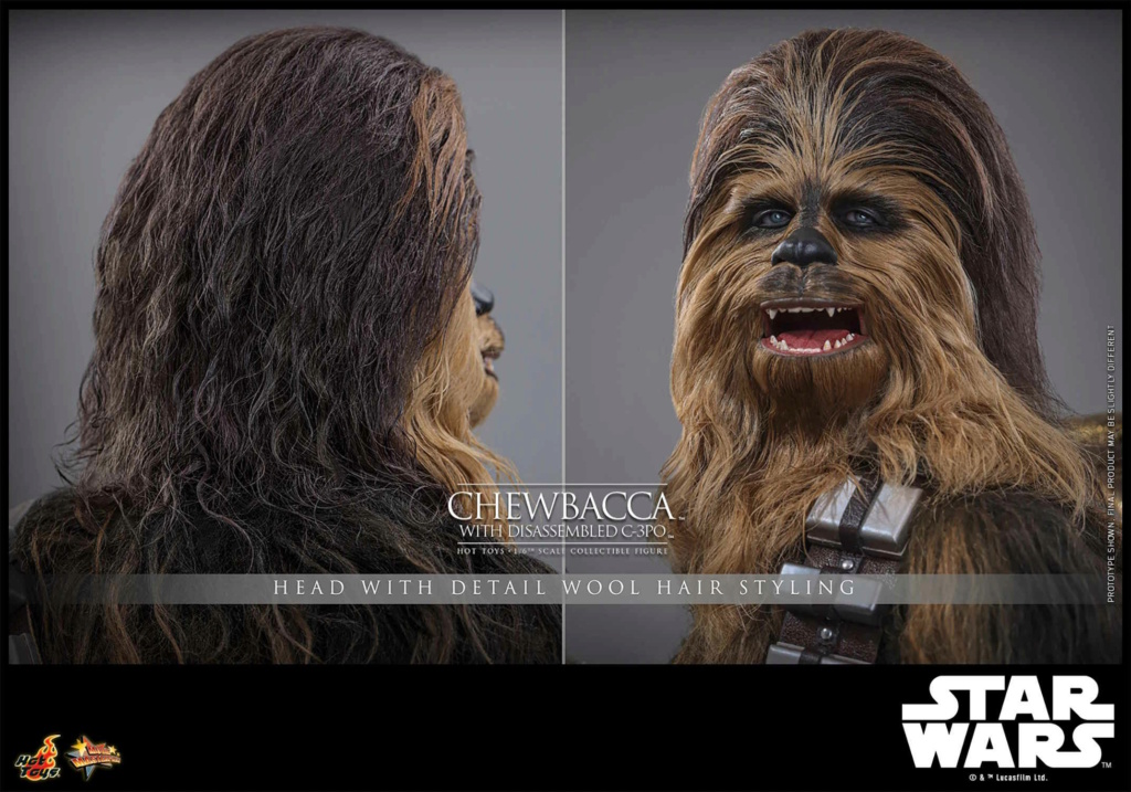 Chewbacca with C-3PO 1/6th scale Collectible Figure - Hot Toys Chewba51