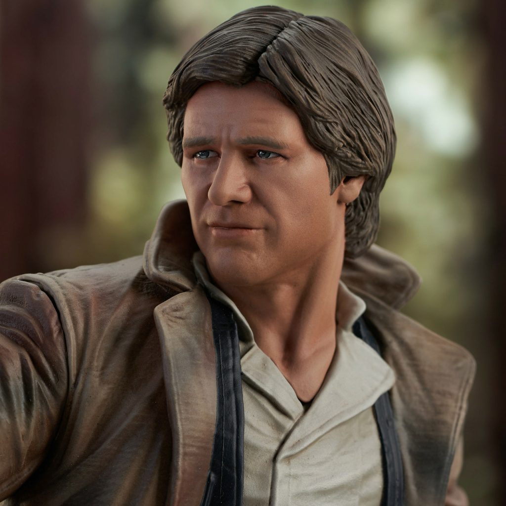 Star Wars: Return of the Jedi - Han Solo (Endor) Mini Bust - Website Exclus Han_so47