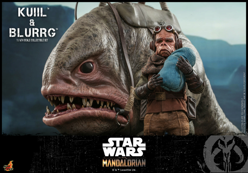 Kuiil & Blurrg Collectible Set - Star Wars - Hot Toys Kuiil_41