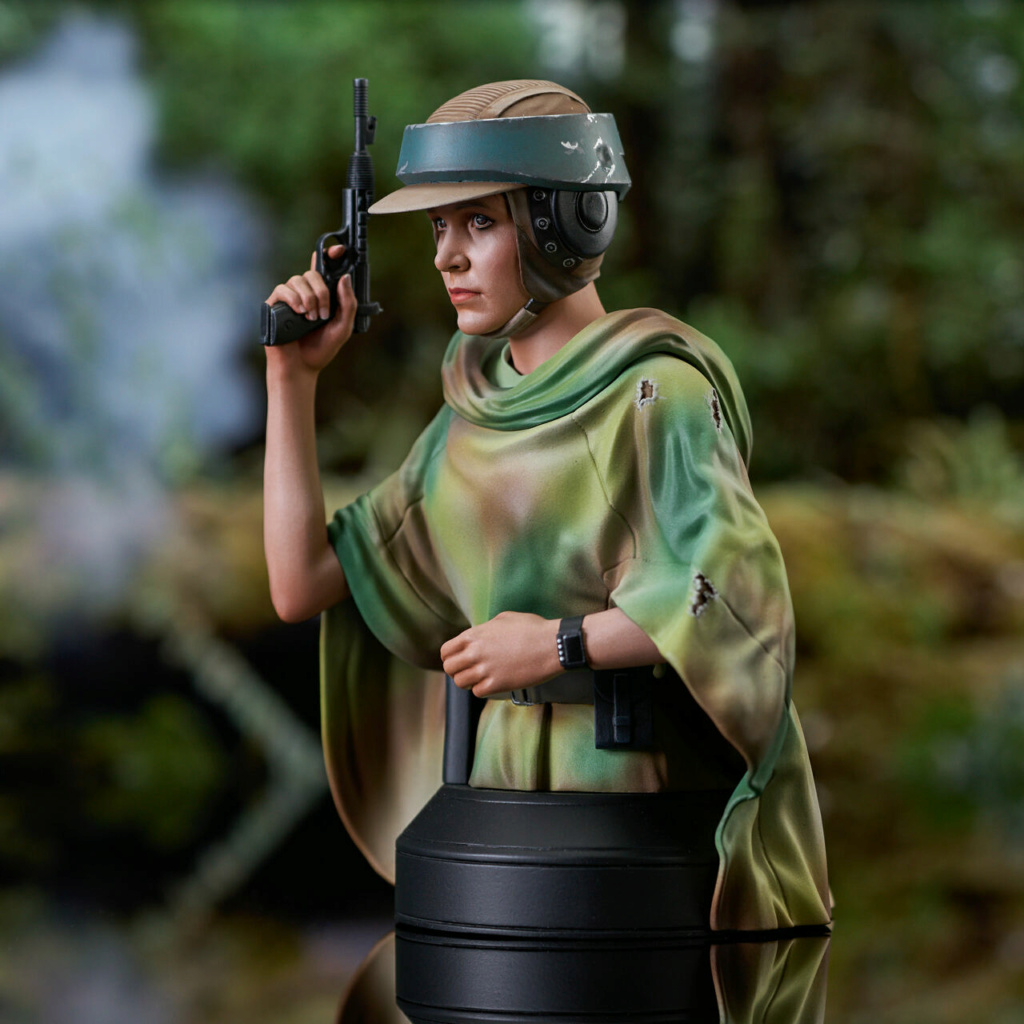 Star Wars: Return of the Jedi - Princess Leia (Endor) Mini-Bust - Gentle Gi Prince34