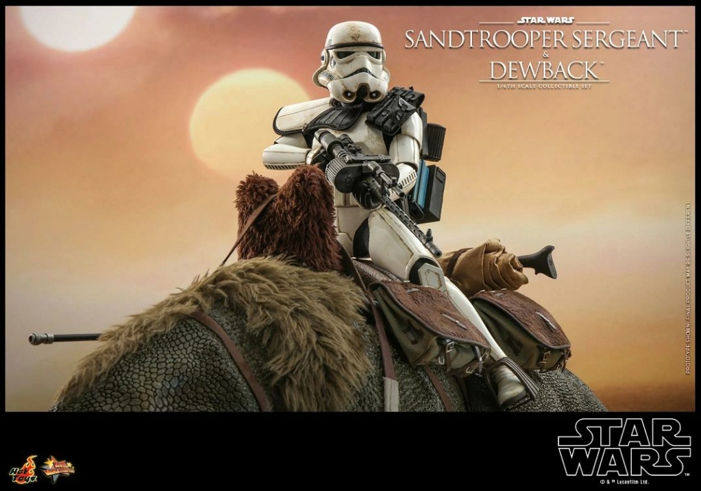 Sandtrooper and Dewback Sixth Scale Figure Set - Hot Toys Sandtr62