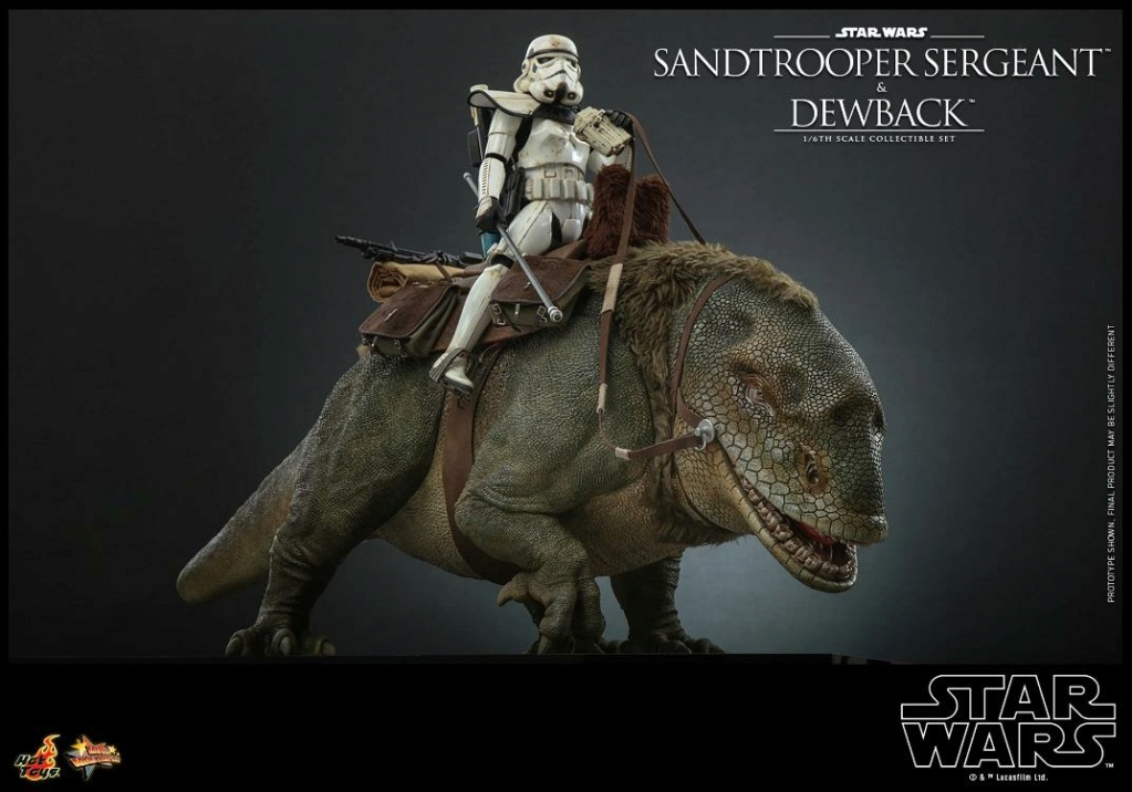 Sandtrooper and Dewback Sixth Scale Figure Set - Hot Toys Sandtr64