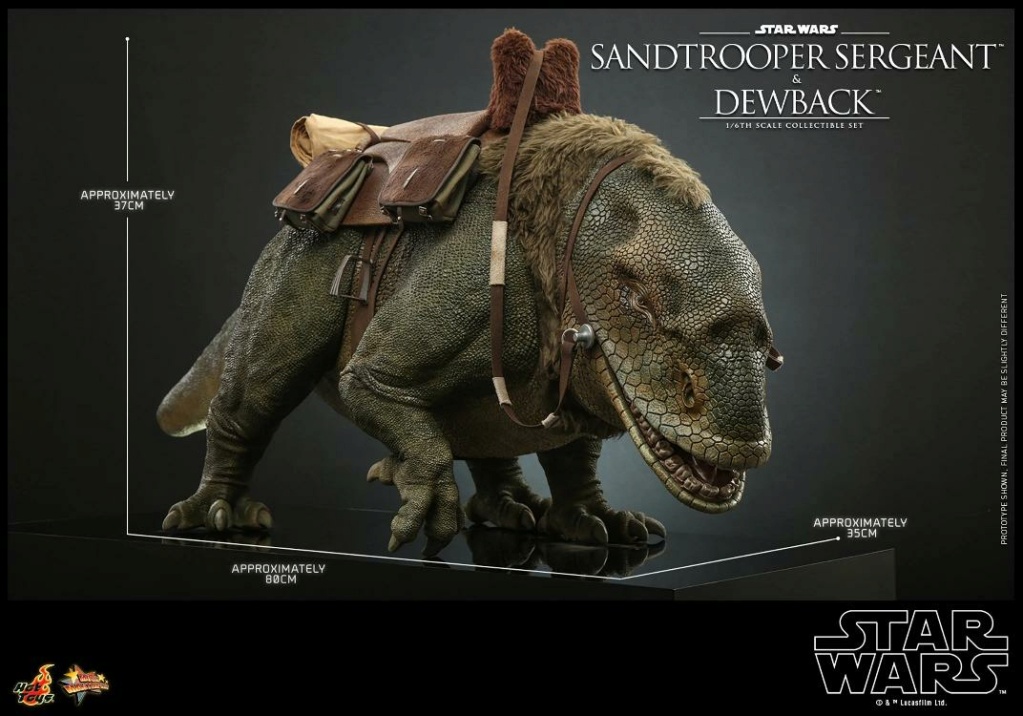 Sandtrooper and Dewback Sixth Scale Figure Set - Hot Toys Sandtr65