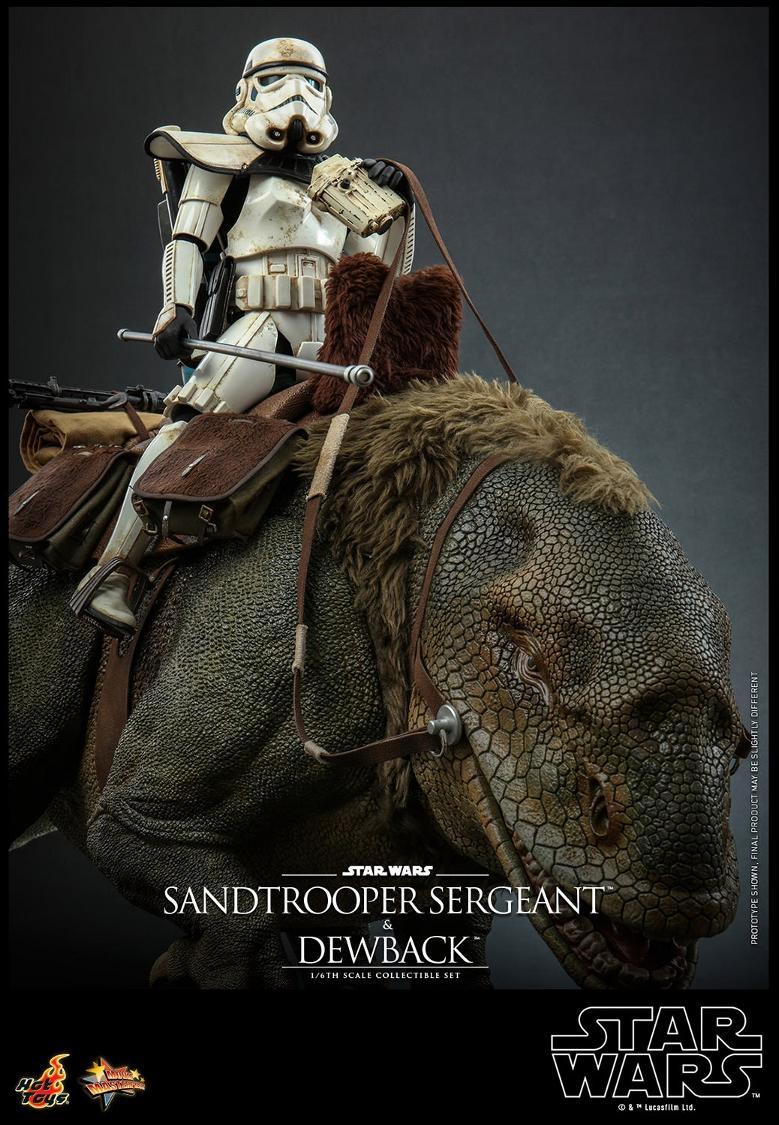 Sandtrooper and Dewback Sixth Scale Figure Set - Hot Toys Sandtr75