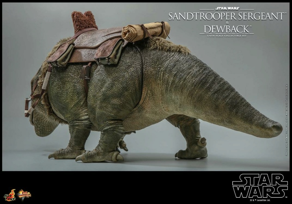 Sandtrooper and Dewback Sixth Scale Figure Set - Hot Toys Sandtr76