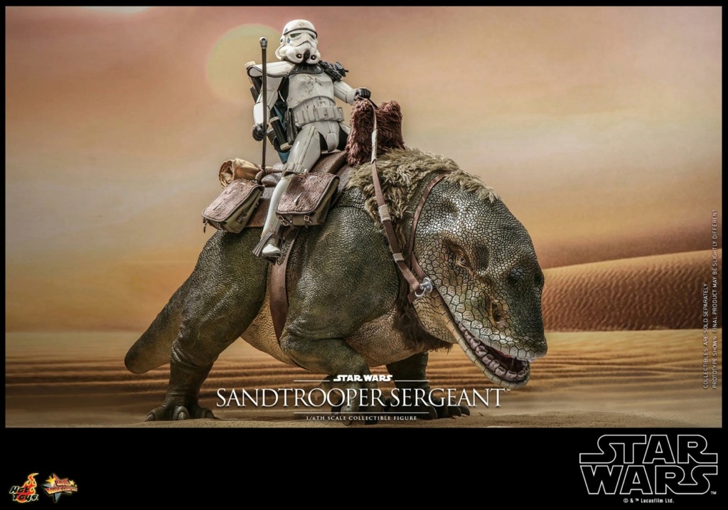 Sandtrooper Sergeant Sixth Scale Figure - Hot Toys Sandtr88