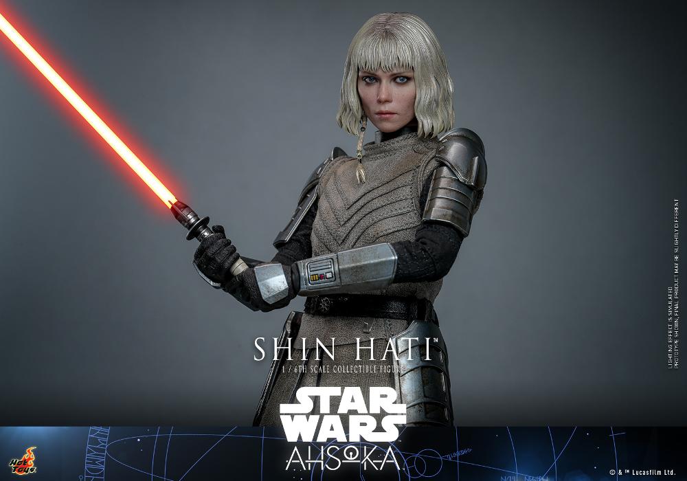 Shin Hati 1/6th scale Collectible Figure - Hot Toys Shin_h23