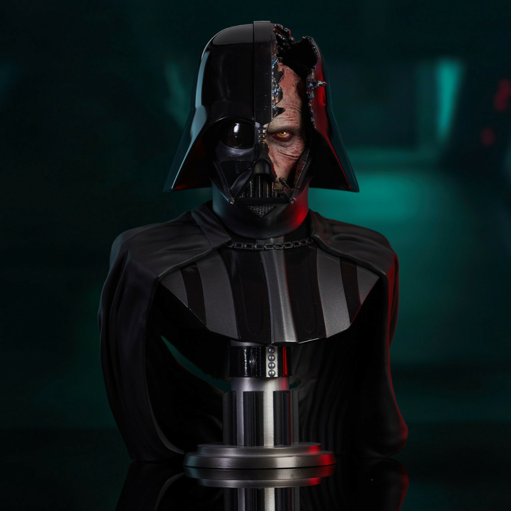 Darth Vader Damaged Helmet Legends in 3D - Gentle Giant Sw_bro10