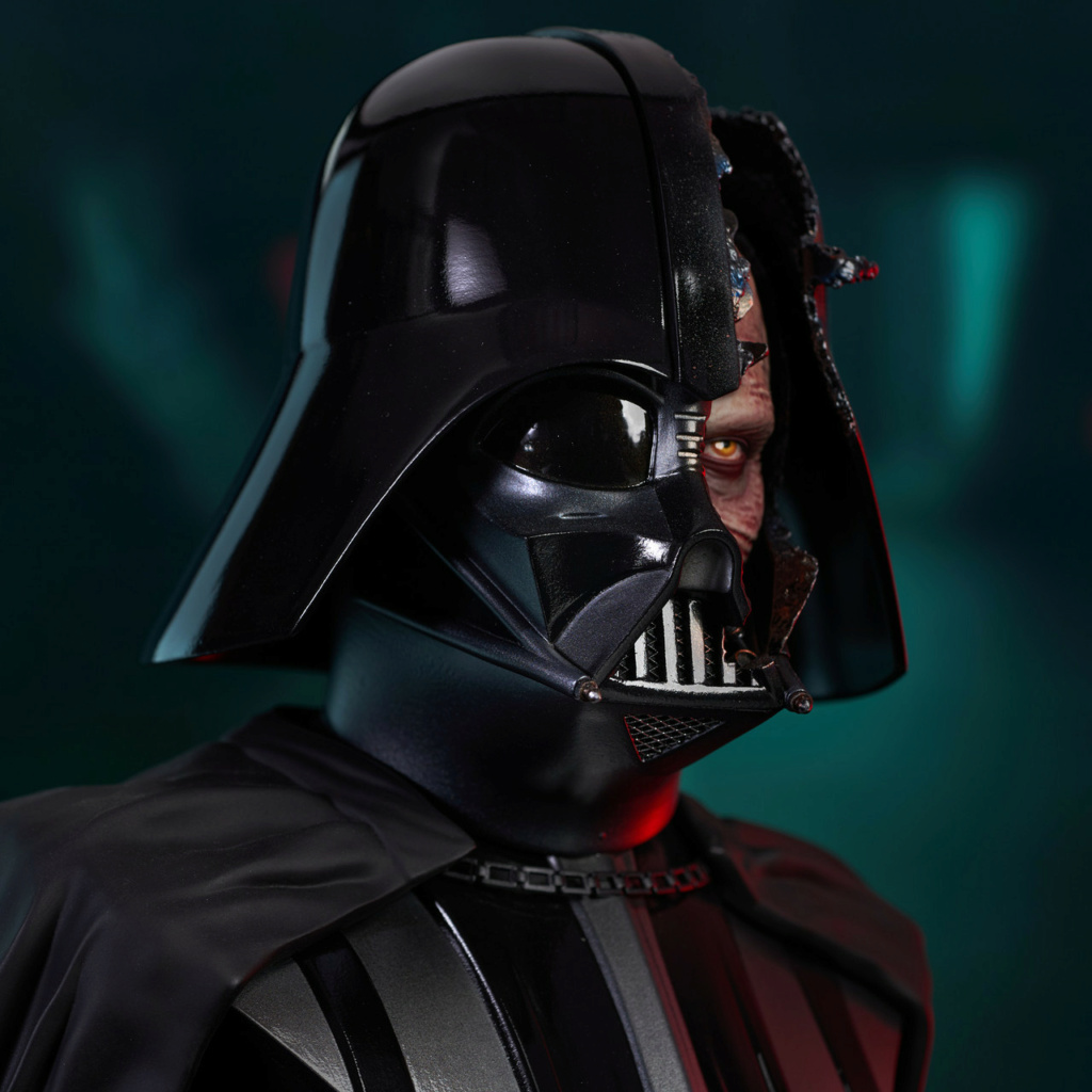 Darth Vader Damaged Helmet Legends in 3D - Gentle Giant Sw_bro14