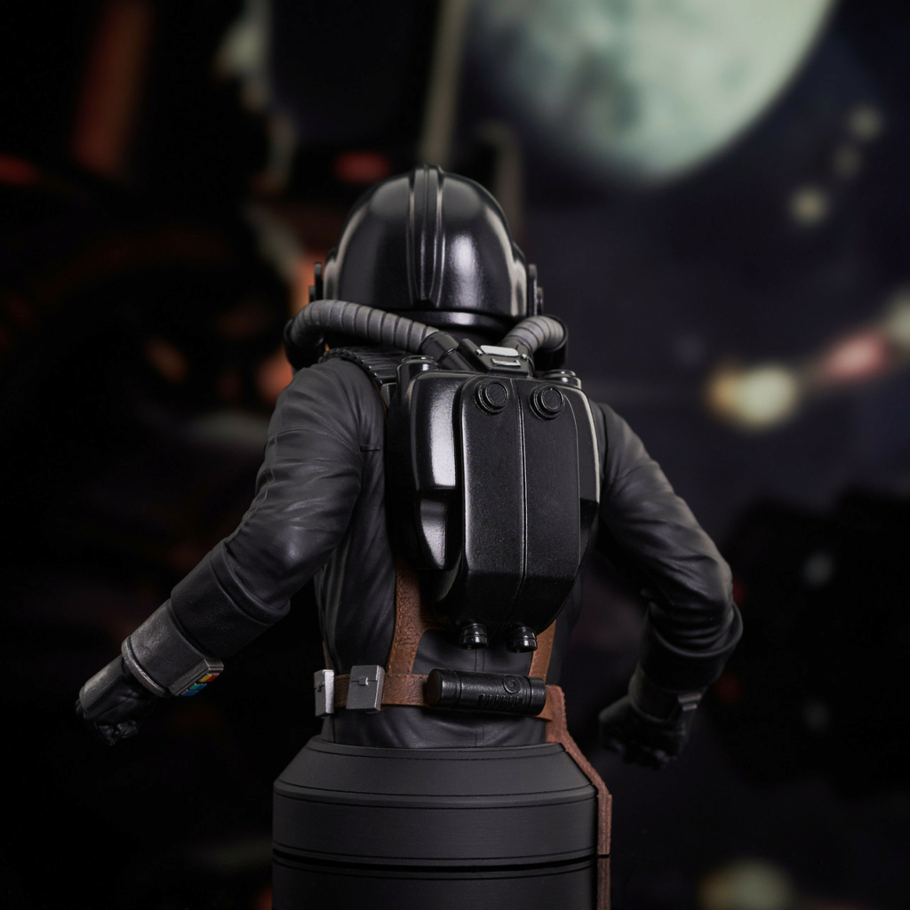 Star Wars - TIE Pilot (Concept) Mini Bust - Gentle Giant Sw_tie13