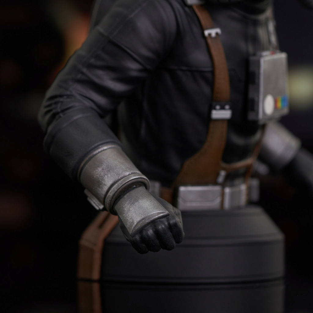 Star Wars - TIE Pilot (Concept) Mini Bust - Gentle Giant Sw_tie19