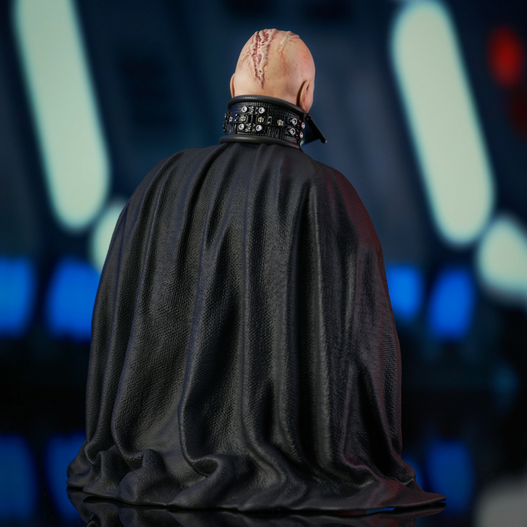 Darth Vader (Unhelmeted) Mini Bust - Gentle Giant  Sw_unm13