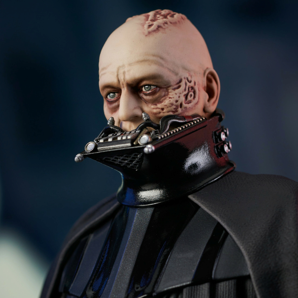 Darth Vader (Unhelmeted) Mini Bust - Gentle Giant  Sw_unm14
