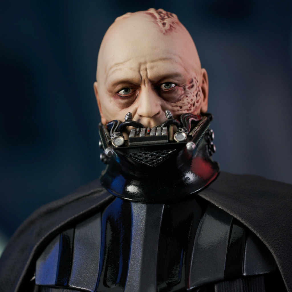 Darth Vader (Unhelmeted) Mini Bust - Gentle Giant  Sw_unm15