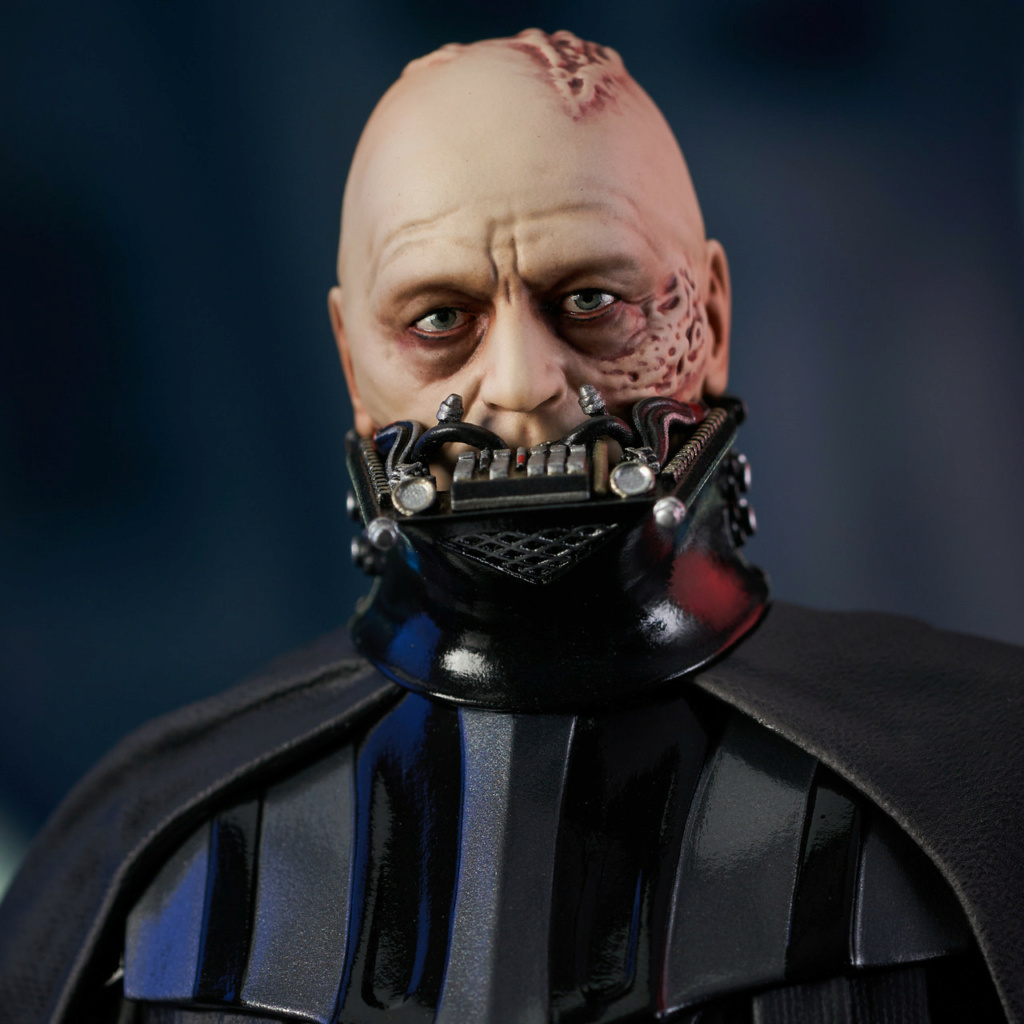 Darth Vader (Unhelmeted) Mini Bust - Gentle Giant Sw_unm15