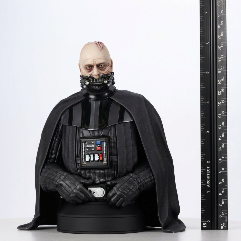 Darth Vader (Unhelmeted) Mini Bust - Gentle Giant  Sw_unm20