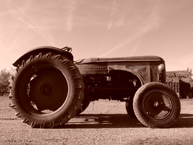 des nouveaux arrivé hier hanomag et moteur fixe Photo273