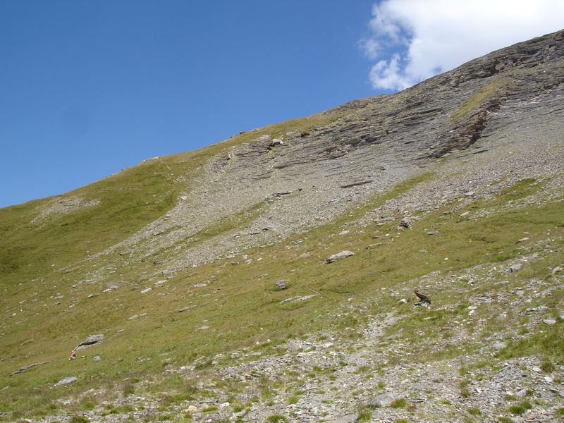 Le rocher de la Davie Dsc04353