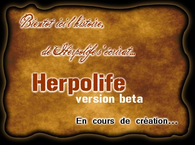 Plan de Relance d'Herpolife Herpol10