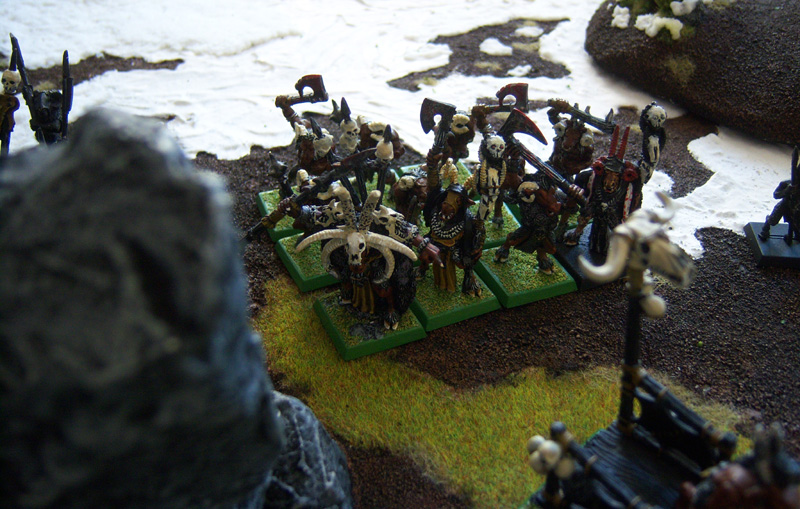 Warhammer Beastmen Army Beastm13