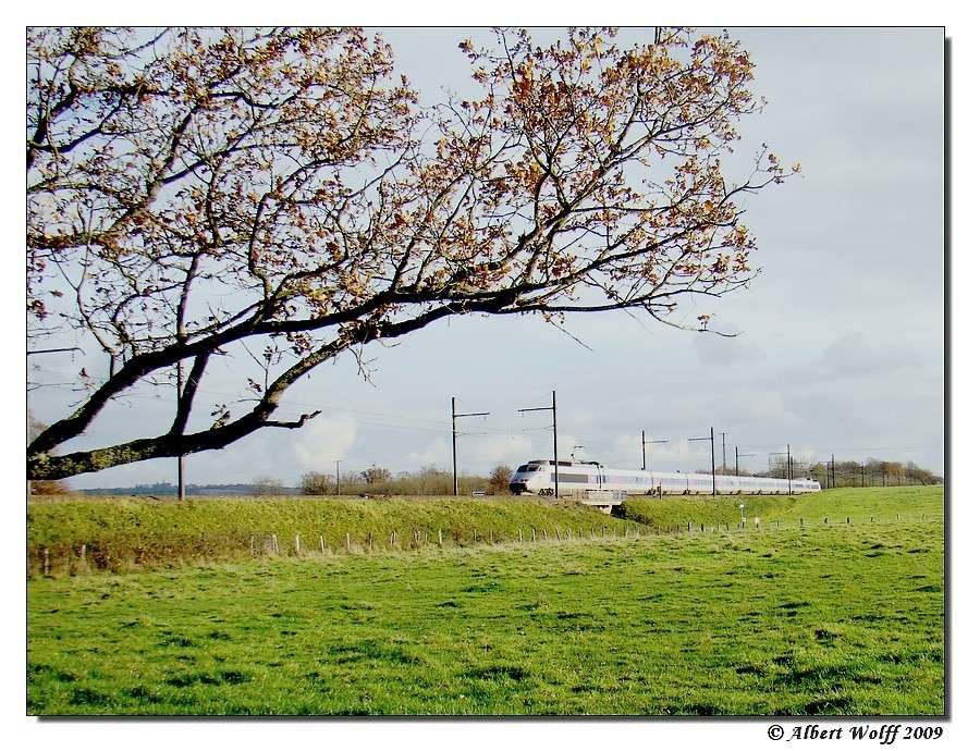 Les TGV et la nature. Pk352211